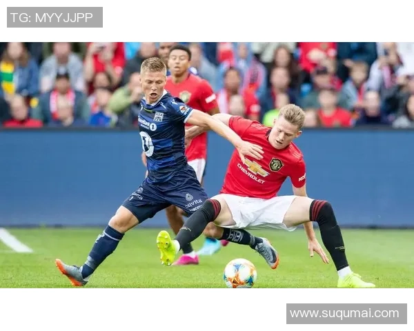 2017年因戈尔与美因茨的精彩对决回顾及赛后分析 2017年因戈尔与美因茨的精彩对决回顾及赛后分析